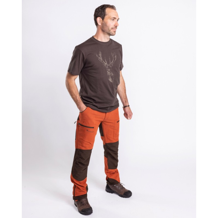 T-SHIRT PINEWOOD RED DEER 5038 - SUEDE BROWN